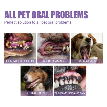 🐕Kupite 1, dobijte 1 gratis🐱 Gel za oralnu higijenu kućnih ljubimaca🌈