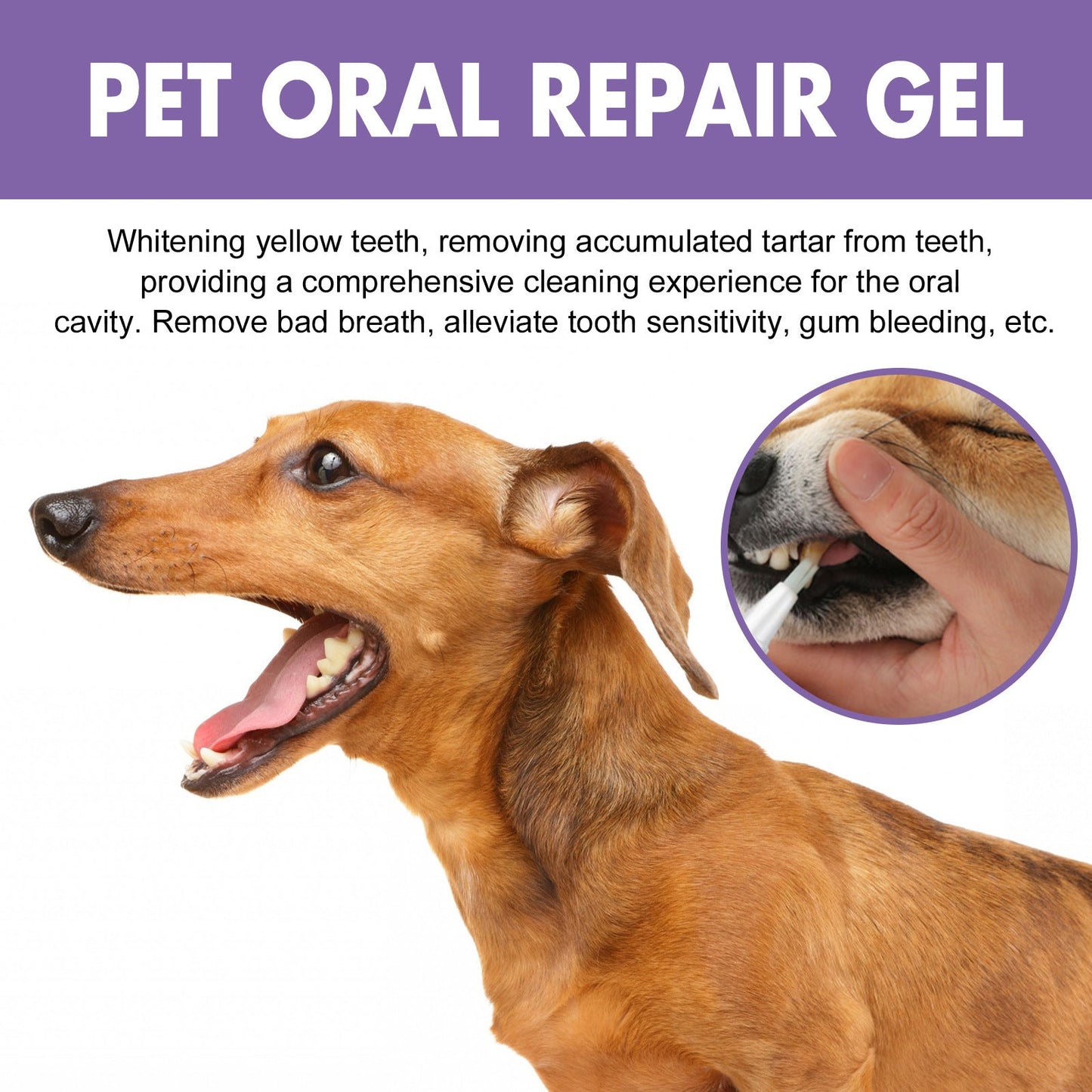 🐕Kupite 1, dobijte 1 gratis🐱 Gel za oralnu higijenu kućnih ljubimaca🌈