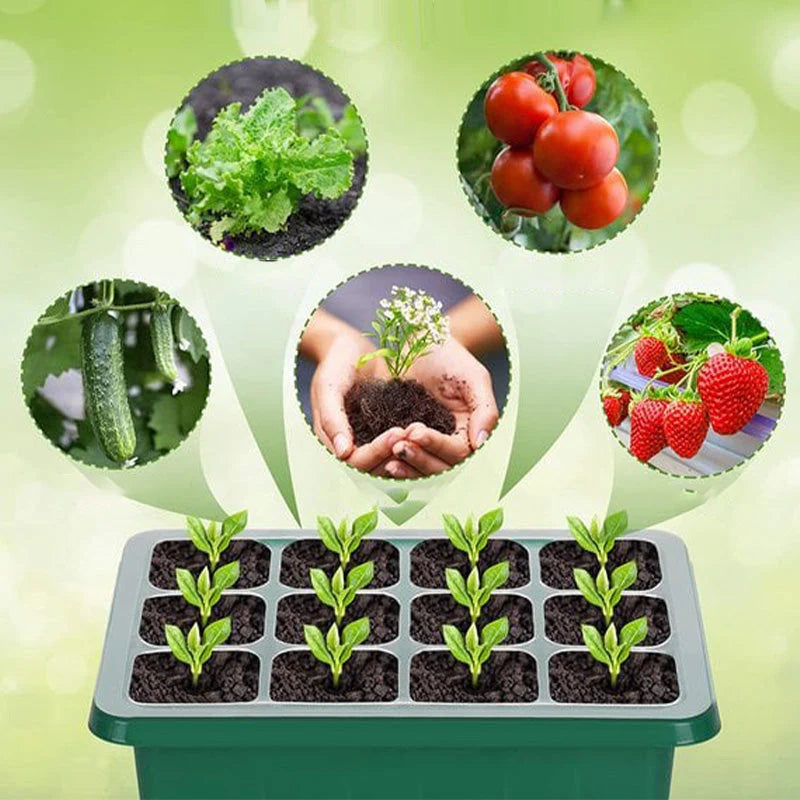 🌱 Posuda za sadnice s ugrađenim svjetlom za uzgoj