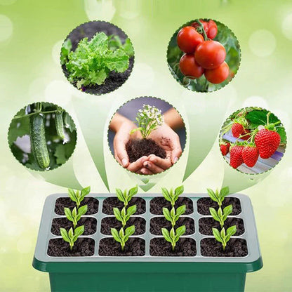 🌱 Posuda za sadnice s ugrađenim svjetlom za uzgoj