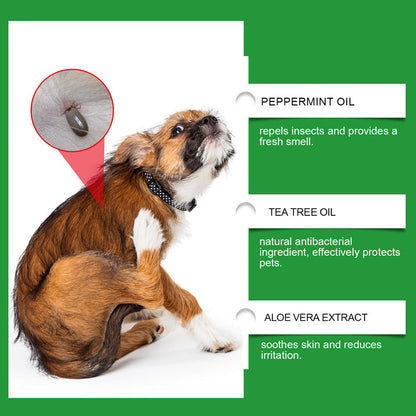 🍃Prirodni sprej protiv buha i krpelja za pse i mačke🐾 Zaštitite svog ljubimca od štetočina