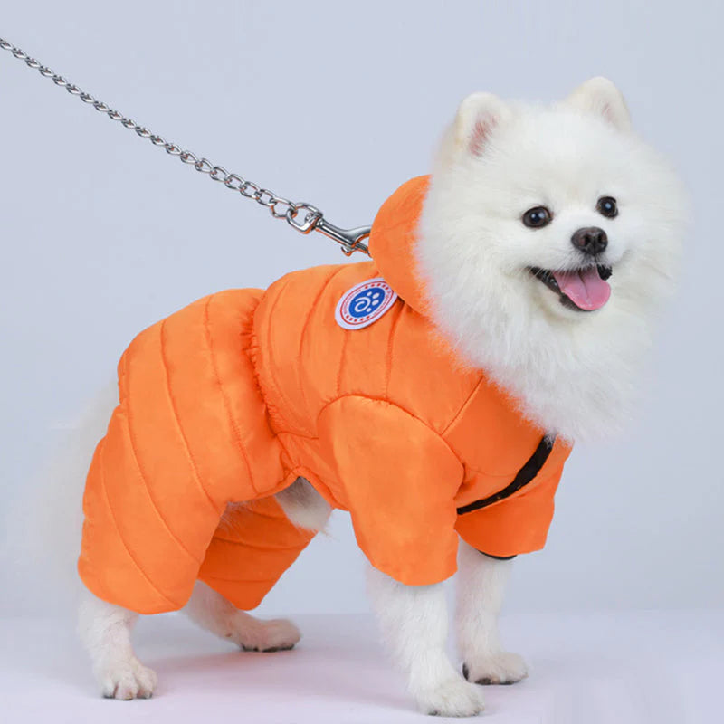Топли, ветроустойчиви зимни дрехи за кучета🐕
